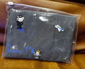 ANA 패밀리아 레슨 백