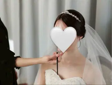 실버 크리스탈 티아라, 귀걸이