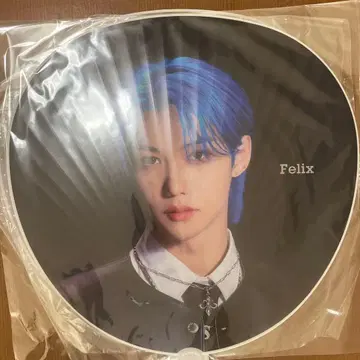 StrayKids 스키즈 felix 부채 social path