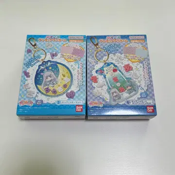 파치파치 프리큐어 데코네임