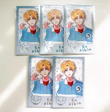 니지산지 폴라로이드풍 카드 완냥 days 에르그 알비오