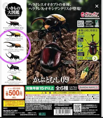 생물대도감 딱정벌레 09 빵가부토 헤라클레스 리키 옥시덴탈리스