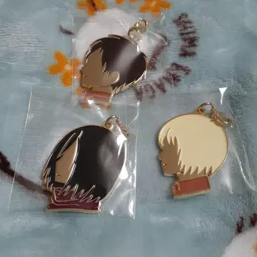 진격의 거인 참 엘렌 미카사 아르민 세트