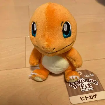 포켓몬 핏 봉제 인형 리자드