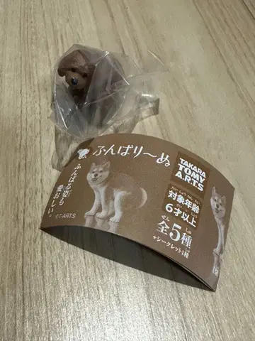 [ 새상품 ] 가챠가챠 웅크리기 인형 토이 푸들