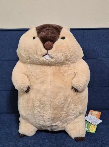 마모트의 더더 울트라 빅 하마모토