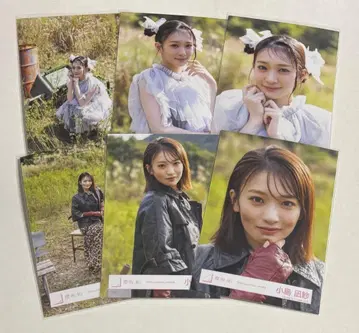 사쿠라자카46 코지마 나기사 브로마이드 세미 컴프 코가라시와 나카나이