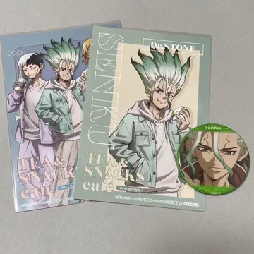 Dr.STONE 이시가미 센쿠 닥터스톤