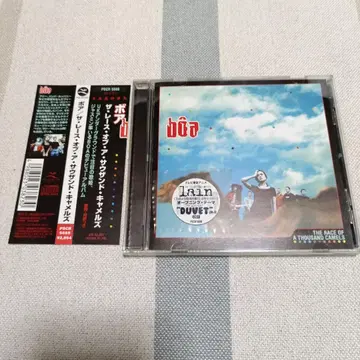 보아 더 레이스 오브 어 사우전드 카멜즈 2 lain duvet