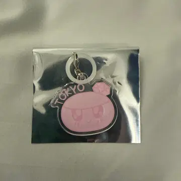 seventeen 세븐틴 BUNKASAI 표식 키링 도쿄