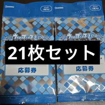 샤니라이 비쥬 Vol.4