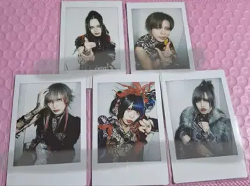 0.1g의 오산 독채 버터플라이 폴라로이드 세트(3/29)