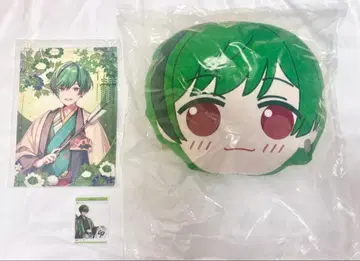 시쿠포니 스치 묶음 판매