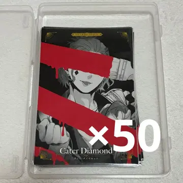 트위스테 케이트 카운트다운 포스카 엽서 50장