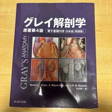 그레이 해부학 제4판