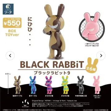 BLACK RABBiT 9 BOX TOY ver (서 있는) 6종