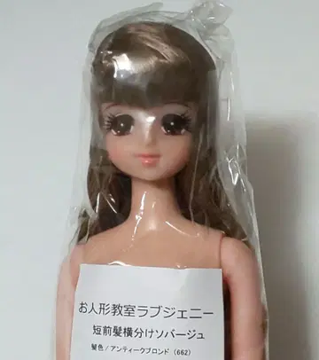 미개봉 캐슬 리틀팩토리 인형 교실 러브제니