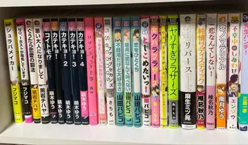 BL 코믹스 묶음 판매