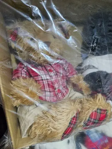 빌드어베어 타탄 체크 패턴 테디베어