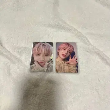 &TEAM YUMA 유마 세카난 회장 트레이딩 카드