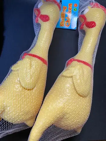 깜짝 치킨 새 장난감 재미있는 장난감 스트레스 해소 강아지 장난감