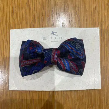 ETRO 리본 머리핀