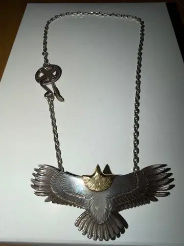 Arizona freedom 대 이글 T-120C 총액 약 30만