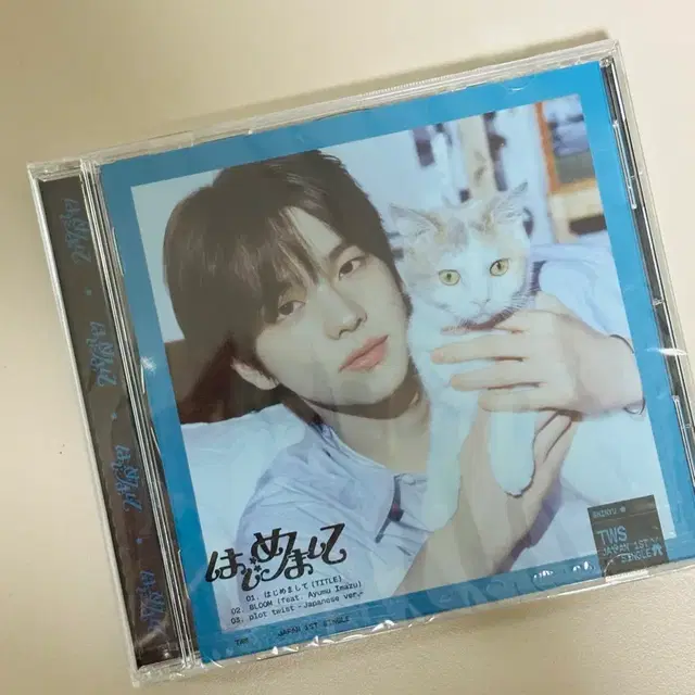 투어스 싱글 일본 앨범 신유