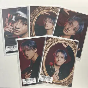 BUDDiiS FUMIYA 타카오 후미야 키라리 스크래치 생탄 2L 사진