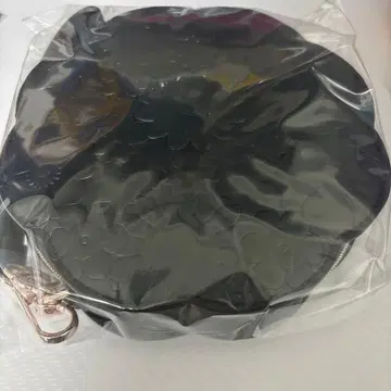 DECORTE 코스데코 크리스마스 코프레 2025 파우치