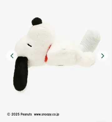 Aftenoon Tea 무릎 탑승 쿠션 PEANUTS 깁스 스누피