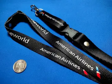 [일본 미입고] 아메리칸 항공 넥스트랩 원월드 에어라인