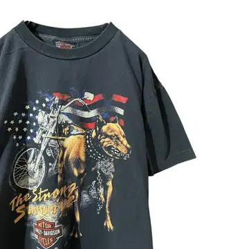 HARLEY DAVIDSON 할리데이비슨 T셔츠 프린트 3D