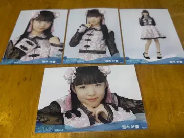 STU48 사카키 카나 2025년 10월 월별 브로마이드 컴프