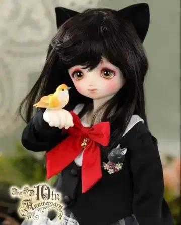 풀세트 보크스 Dear SD 10th Anniversary 나유