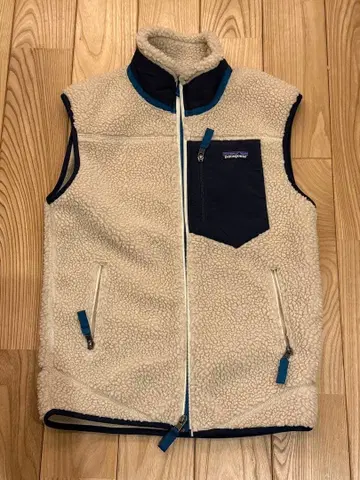 파타고니아 남성용 클래식 레트로X 베스트