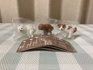 굼벵이 굼벵이 3개 토이 푸들 포메라니안 잭 러셀