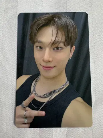 SEVENTEEN 세븐틴 FC 갱신 트레이딩 카드 디노