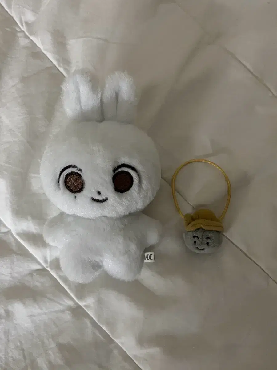 Seventeen Jeonghan Jjongmochi + Doljjongi wts