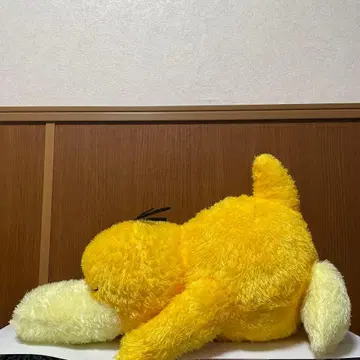 포켓몬 코닥 2체