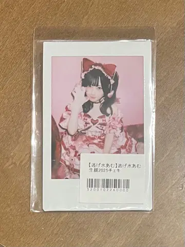 큐루링 해봐 큐루시테 신기루 아무 생탄 폴라로이드 2025 런 폴라로이드