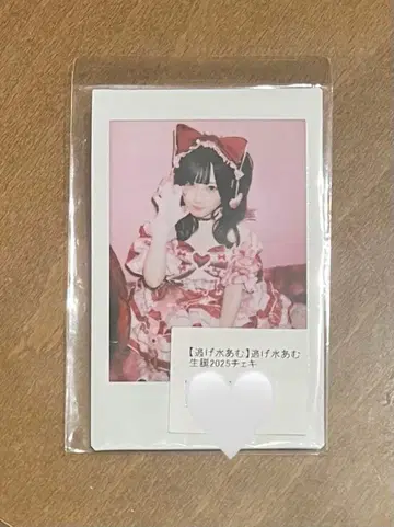 큐루링 해봐 큐루시테 신기루 아무 생탄 폴라로이드 2025 런 폴라로이드