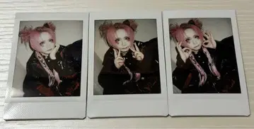 나방과 나비 잇시키 비요리 폴라로이드