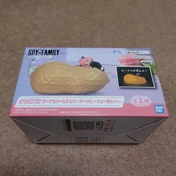 SPY x FAMILY 피넛 룸 라이트 아냐 포저