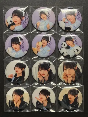 아오키 히나 상하이 팬미팅 캔뱃지 컴플리트 세트