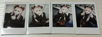 나방과 나비 잇시키 히요리 폴라로이드