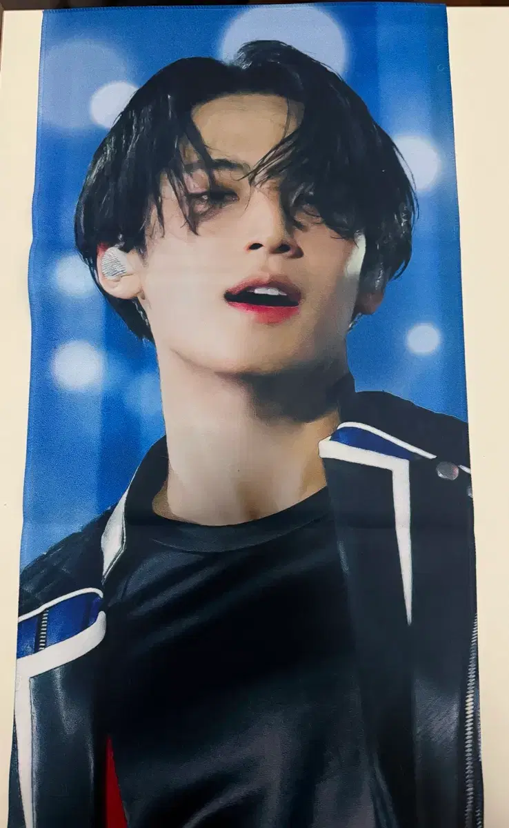 Seventeen mingyu slogan