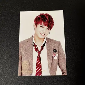 BTS Japan official fanmeeting vol.1 사진