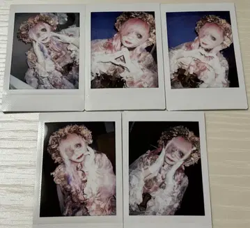 나방과 나비 일색의 날 폴라로이드