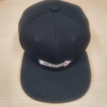 MR.CHILDREN 미스치루 30th 반세기 엔트런스 캡